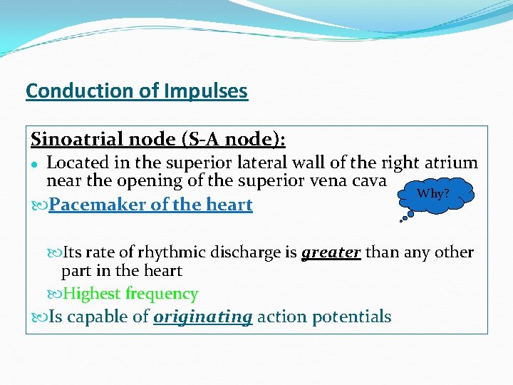 Conduction of Impulses Sinoatrial node (S-A node): Located in the superior lateral wall of
