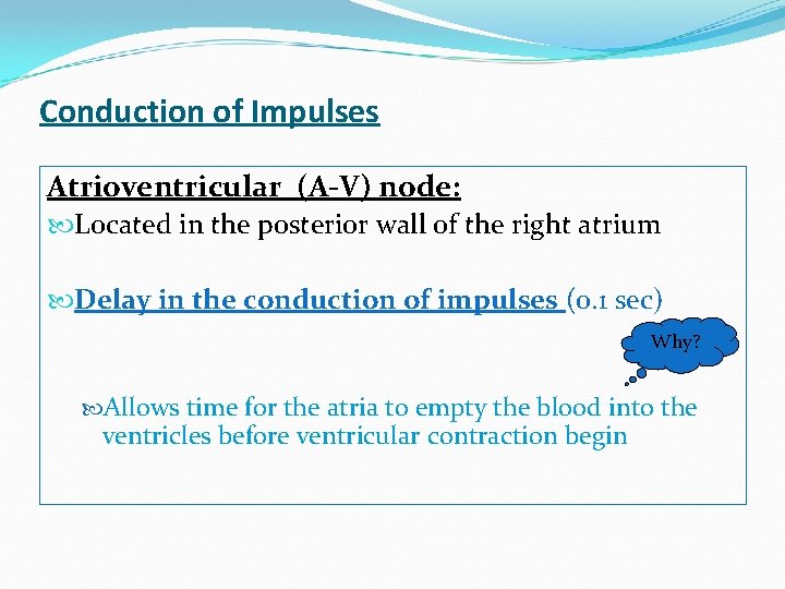 Conduction of Impulses Atrioventricular (A-V) node: Located in the posterior wall of the right