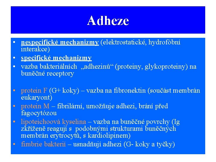 Adheze • nespecifické mechanizmy (elektrostatické, hydrofóbní interakce) • specifické mechanizmy • vazba bakteriálních „adhezinů“