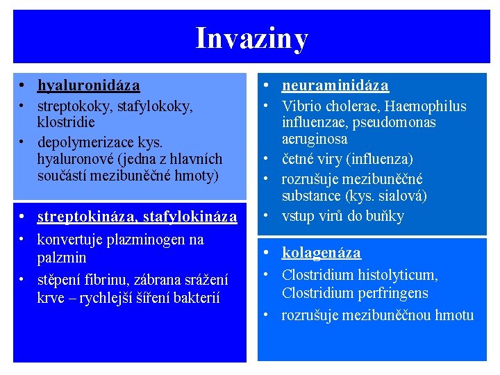 Invaziny • hyaluronidáza • neuraminidáza • streptokoky, stafylokoky, klostridie • depolymerizace kys. hyaluronové (jedna