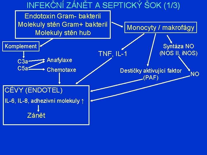 INFEKČNÍ ZÁNĚT A SEPTICKÝ ŠOK (1/3) Endotoxin Gram- bakterií Molekuly stěn Gram+ bakterií Molekuly