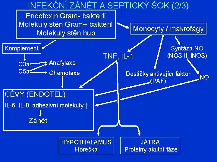 INFEKČNÍ ZÁNĚT A SEPTICKÝ ŠOK (2/3) Endotoxin Gram- bakterií Molekuly stěn Gram+ bakterií Molekuly
