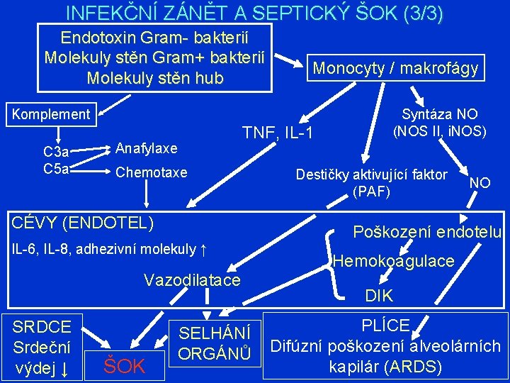 INFEKČNÍ ZÁNĚT A SEPTICKÝ ŠOK (3/3) Endotoxin Gram- bakterií Molekuly stěn Gram+ bakterií Molekuly