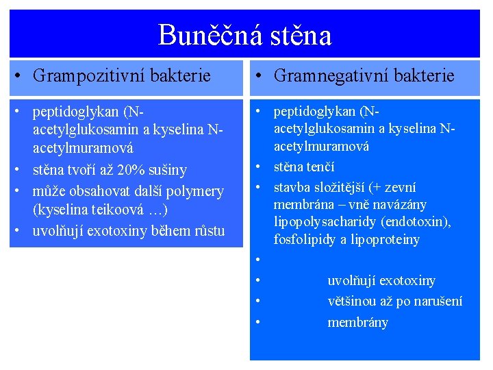 Buněčná stěna • Grampozitivní bakterie • Gramnegativní bakterie • peptidoglykan (Nacetylglukosamin a kyselina Nacetylmuramová