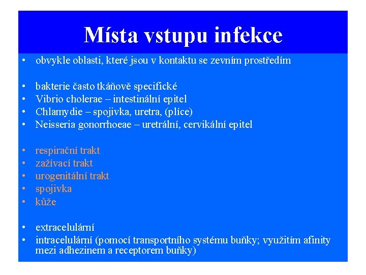 Místa vstupu infekce • obvykle oblasti, které jsou v kontaktu se zevním prostředím •