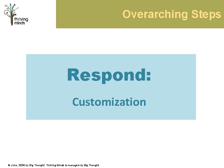 Overarching Steps Respond: Customization © June, 2009 by Big Thought. Thriving Minds is managed