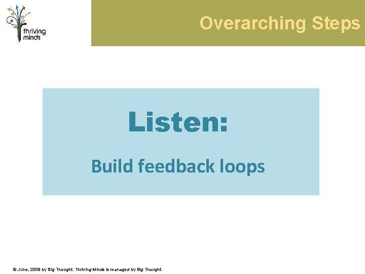 Overarching Steps Listen: Build feedback loops © June, 2009 by Big Thought. Thriving Minds
