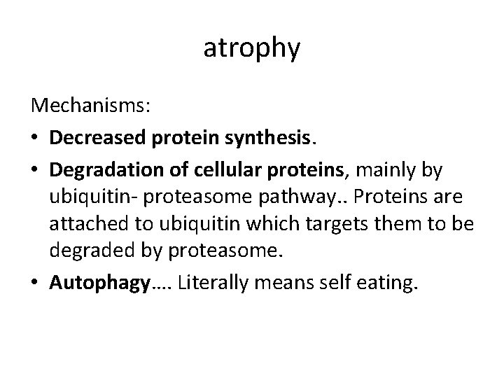 atrophy Mechanisms: • Decreased protein synthesis. • Degradation of cellular proteins, mainly by ubiquitin-