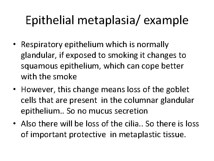Epithelial metaplasia/ example • Respiratory epithelium which is normally glandular, if exposed to smoking