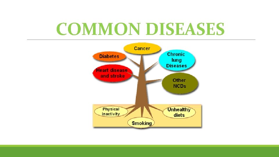 COMMON DISEASES 