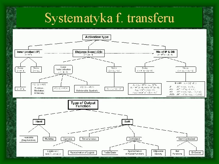 Systematyka f. transferu 