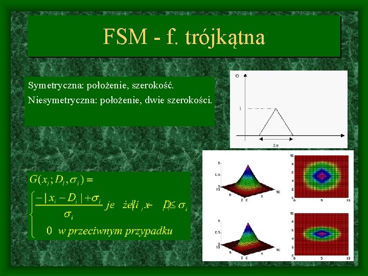 FSM - f. trójkątna Symetryczna: położenie, szerokość. Niesymetryczna: położenie, dwie szerokości. 