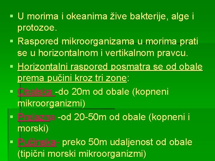 § U morima i okeanima žive bakterije, alge i protozoe. § Raspored mikroorganizama u