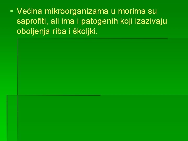 § Većina mikroorganizama u morima su saprofiti, ali ima i patogenih koji izazivaju oboljenja