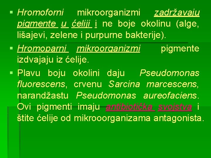 § Hromoforni mikroorganizmi zadržavaju pigmente u ćeliji i ne boje okolinu (alge, lišajevi, zelene