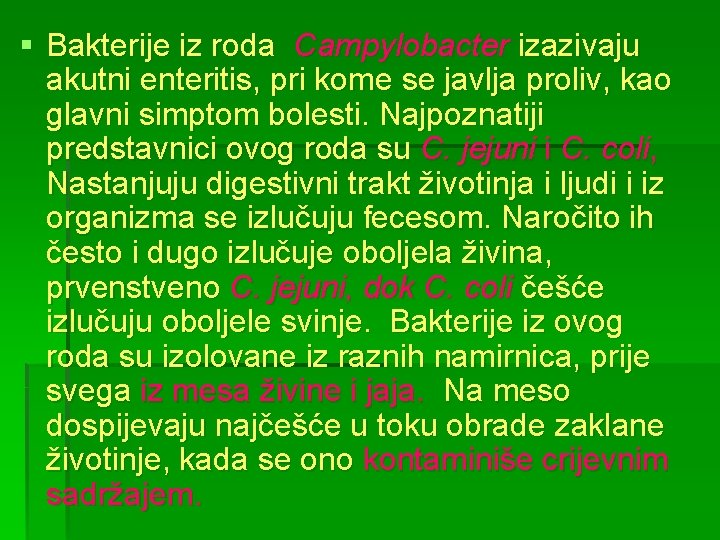 § Bakterije iz roda Campylobacter izazivaju akutni enteritis, pri kome se javlja proliv, kao