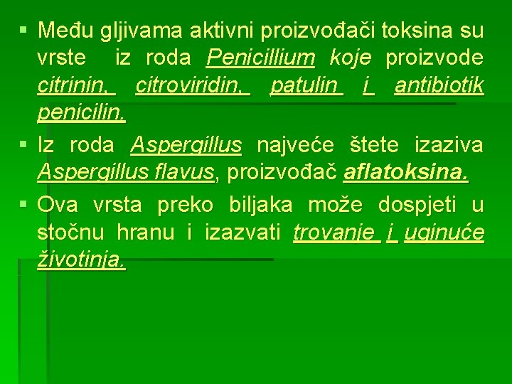 § Među gljivama aktivni proizvođači toksina su vrste iz roda Penicillium koje proizvode citrinin,