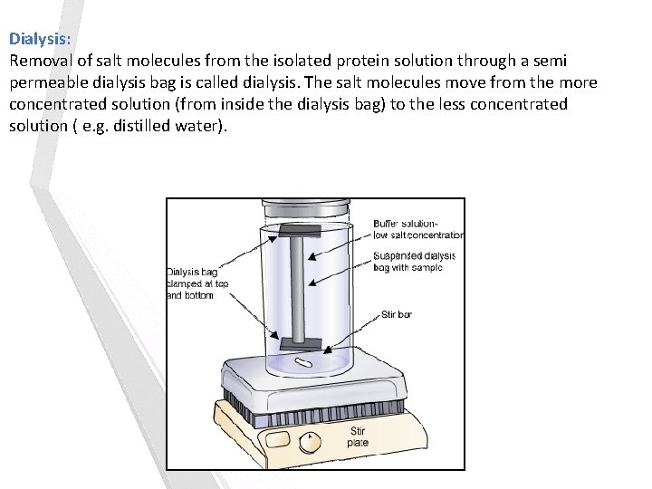 Dialysis: Removal of salt molecules from the isolated protein solution through a semi permeable