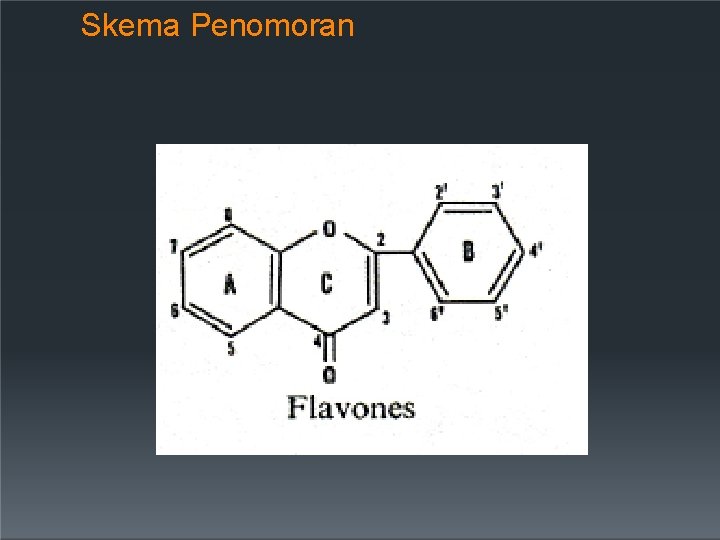 Skema Penomoran 