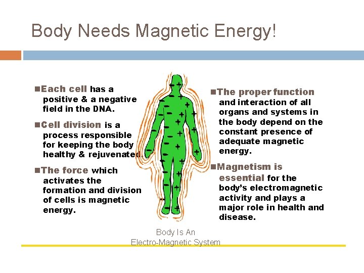 Body Needs Magnetic Energy! Each cell has a positive & a negative field in