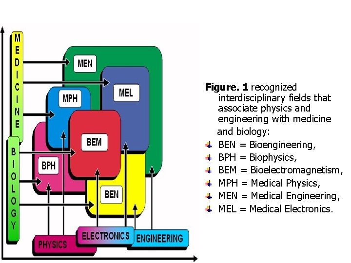 Figure. 1 recognized interdisciplinary fields that associate physics and engineering with medicine and biology: