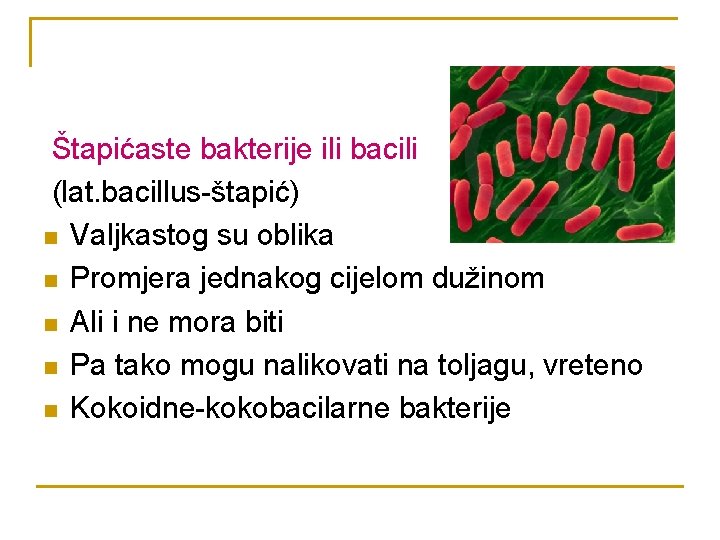 Štapićaste bakterije ili bacili (lat. bacillus-štapić) n Valjkastog su oblika n Promjera jednakog cijelom