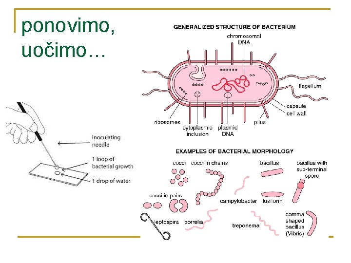 ponovimo, uočimo… 