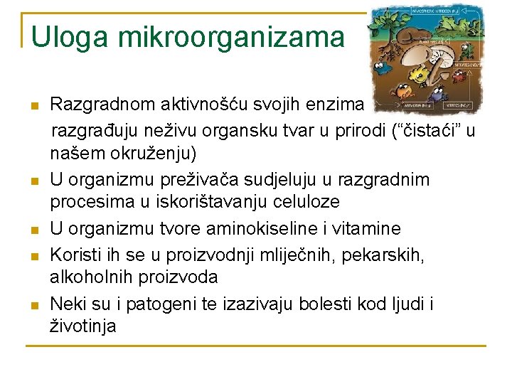 Uloga mikroorganizama n n n Razgradnom aktivnošću svojih enzima razgrađuju neživu organsku tvar u