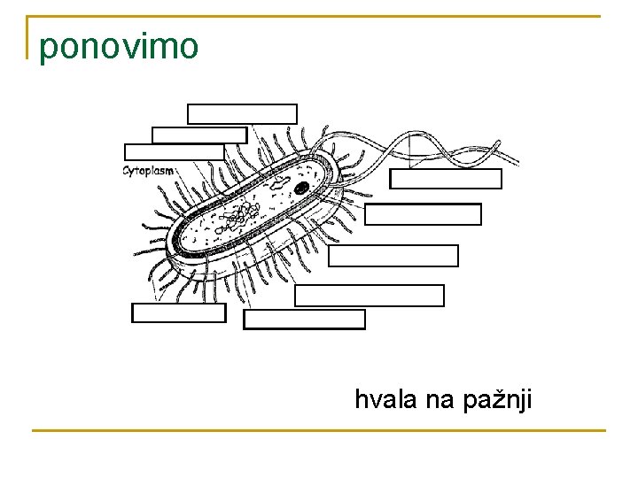 ponovimo hvala na pažnji 