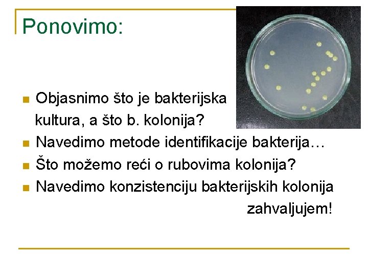 Ponovimo: n n Objasnimo što je bakterijska kultura, a što b. kolonija? Navedimo metode