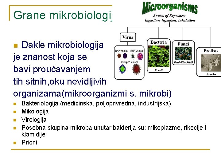 Grane mikrobiologije Dakle mikrobiologija je znanost koja se bavi proučavanjem tih sitnih, oku nevidljivih