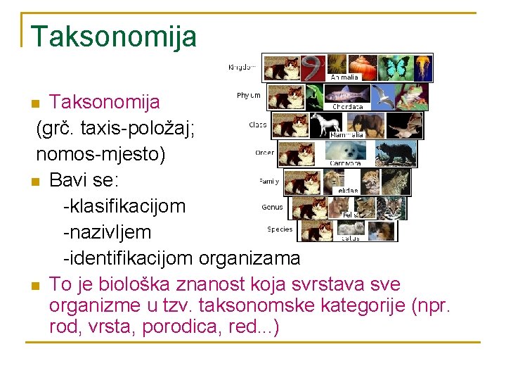 Taksonomija (grč. taxis-položaj; nomos-mjesto) n Bavi se: -klasifikacijom -nazivljem -identifikacijom organizama n To je