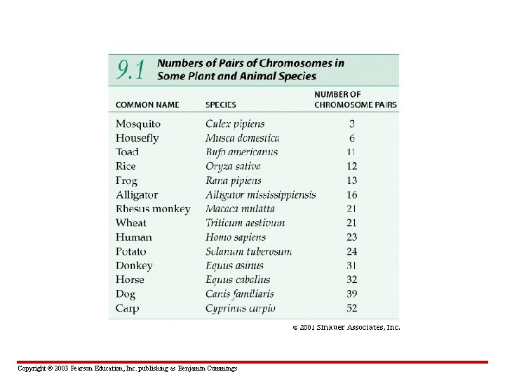 Copyright © 2003 Pearson Education, Inc. publishing as Benjamin Cummings 