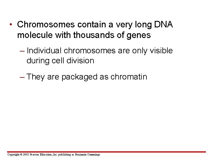  • Chromosomes contain a very long DNA molecule with thousands of genes –