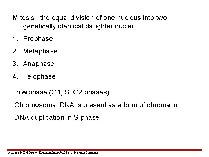 Mitosis : the equal division of one nucleus into two genetically identical daughter nuclei