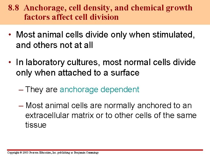 8. 8 Anchorage, cell density, and chemical growth factors affect cell division • Most