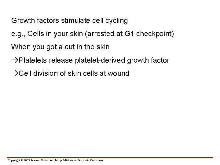 Growth factors stimulate cell cycling e. g. , Cells in your skin (arrested at