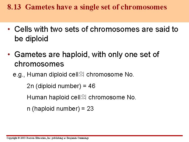 8. 13 Gametes have a single set of chromosomes • Cells with two sets