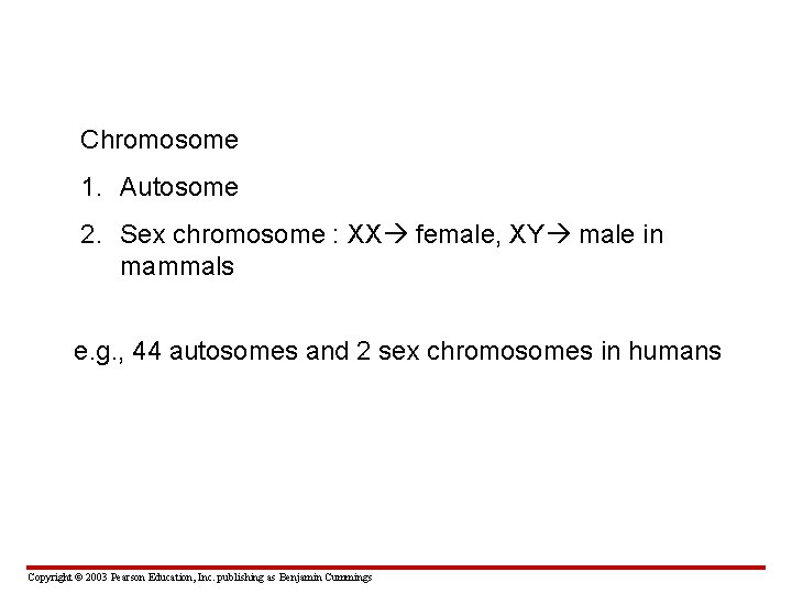 Chromosome 1. Autosome 2. Sex chromosome : XX female, XY male in mammals e.
