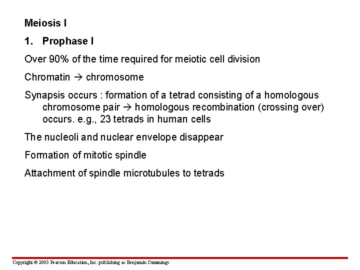Meiosis I 1. Prophase I Over 90% of the time required for meiotic cell