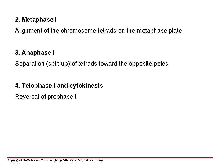 2. Metaphase I Alignment of the chromosome tetrads on the metaphase plate 3. Anaphase