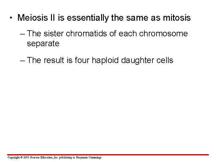  • Meiosis II is essentially the same as mitosis – The sister chromatids
