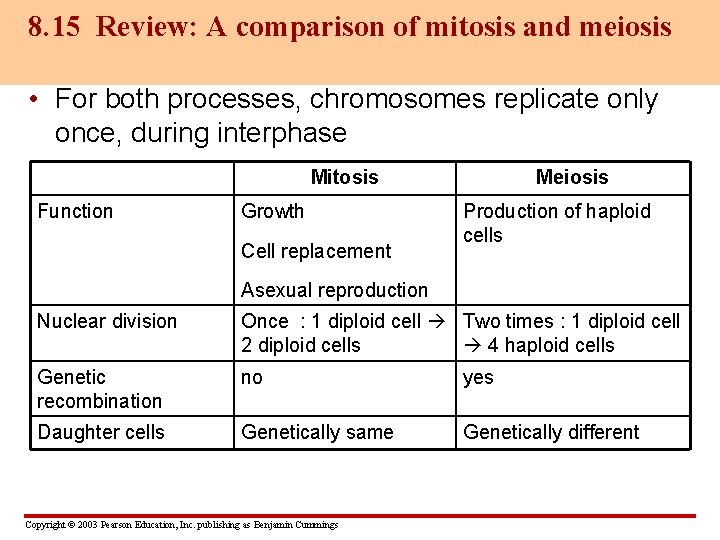 8. 15 Review: A comparison of mitosis and meiosis • For both processes, chromosomes
