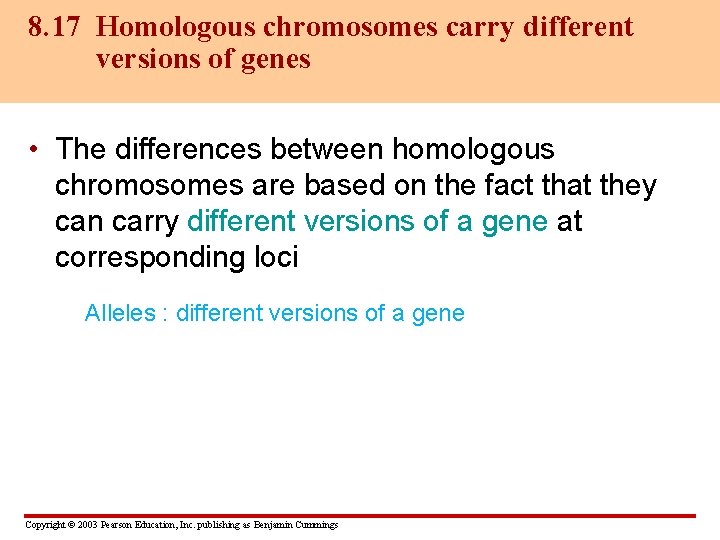 8. 17 Homologous chromosomes carry different versions of genes • The differences between homologous