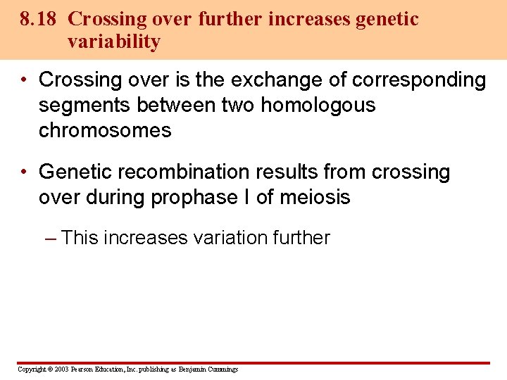 8. 18 Crossing over further increases genetic variability • Crossing over is the exchange