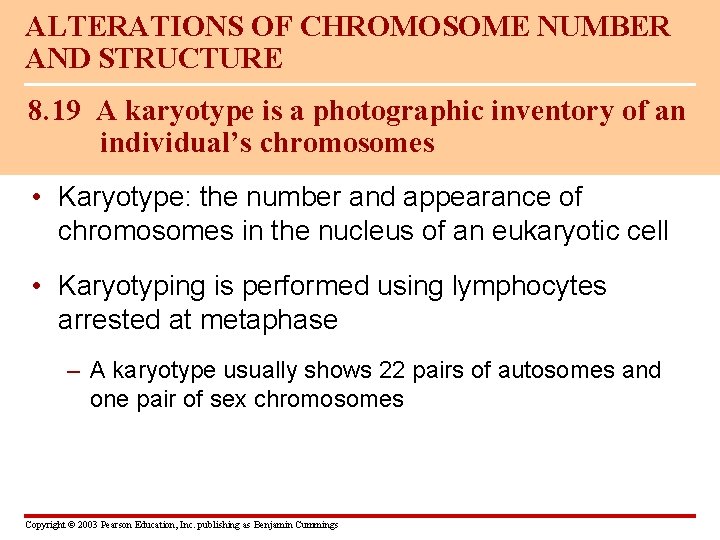 ALTERATIONS OF CHROMOSOME NUMBER AND STRUCTURE 8. 19 A karyotype is a photographic inventory