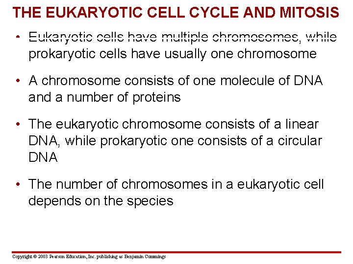 THE EUKARYOTIC CELL CYCLE AND MITOSIS • Eukaryotic cells have multiple chromosomes, while prokaryotic