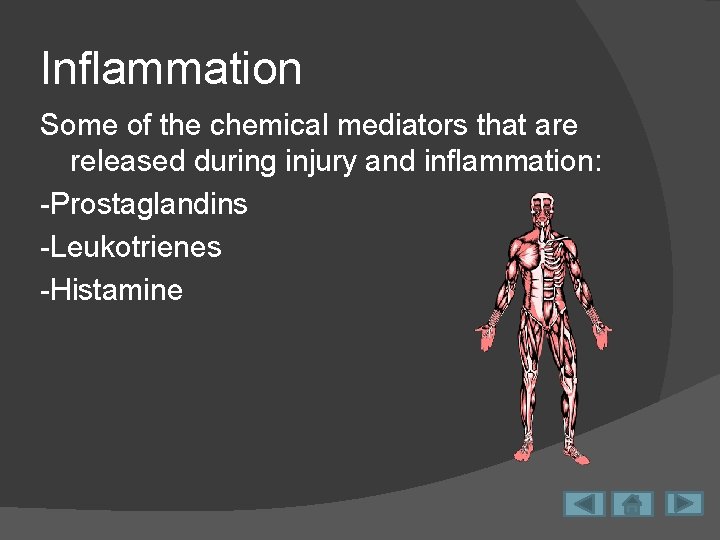 Inflammation Some of the chemical mediators that are released during injury and inflammation: -Prostaglandins