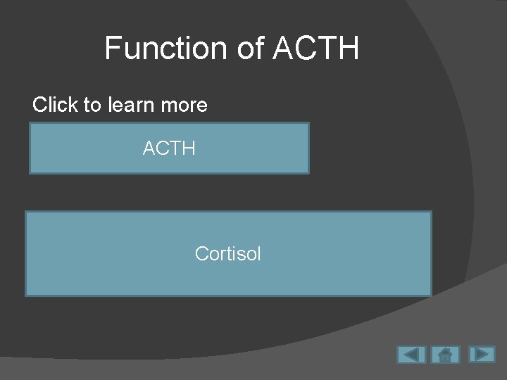 Function of ACTH Click to learn more Stimulates release of cortisol ACTH Adds to