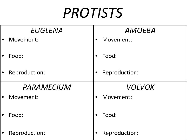 PROTISTS EUGLENA AMOEBA • Movement: • Food: • Reproduction: PARAMECIUM VOLVOX • Movement: •